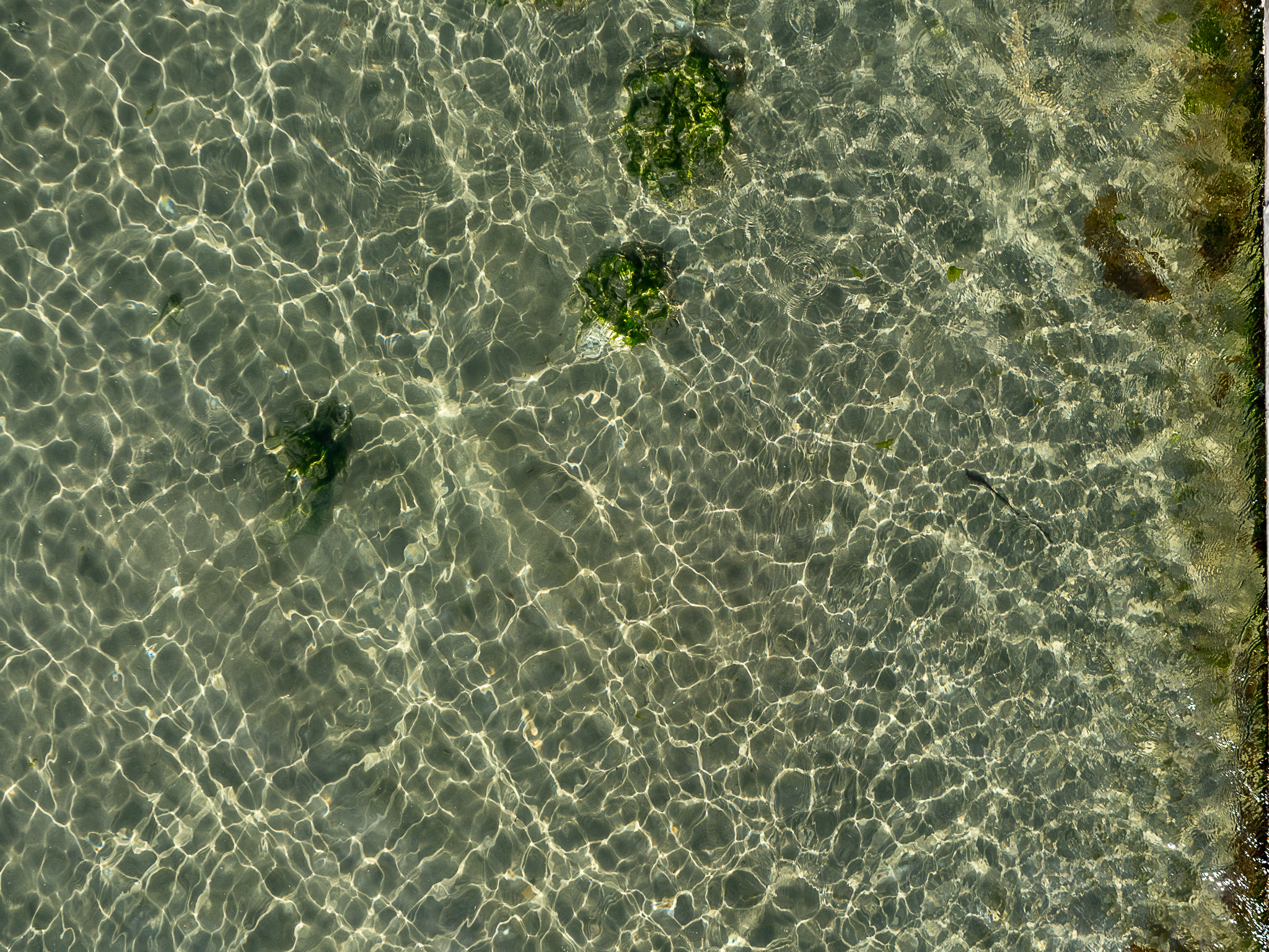 a photo of the water surface of the Pacific ocean