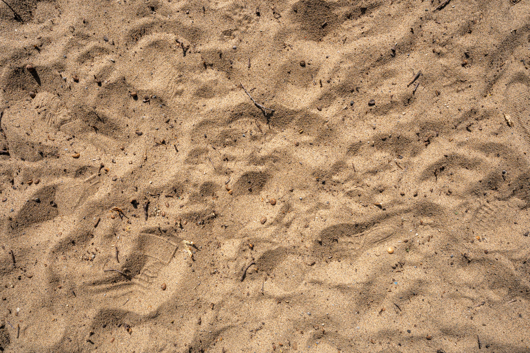 Sand texture photo