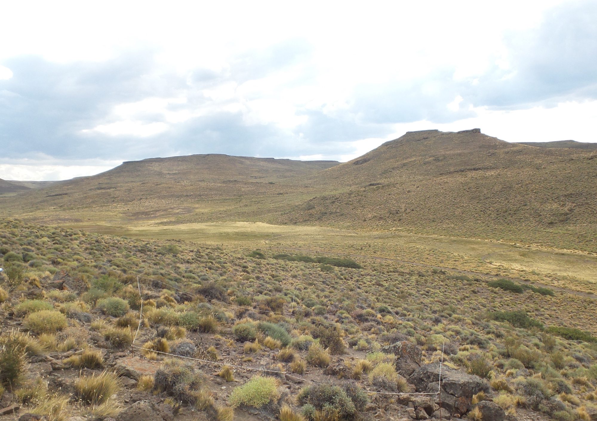 Meseta y horizonte de la estepa patagónica