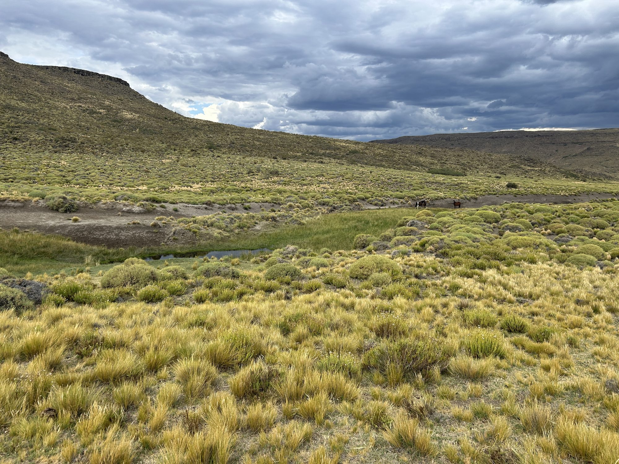 Valle con mallín verde y cielo de tormenta en la estepa patagónica