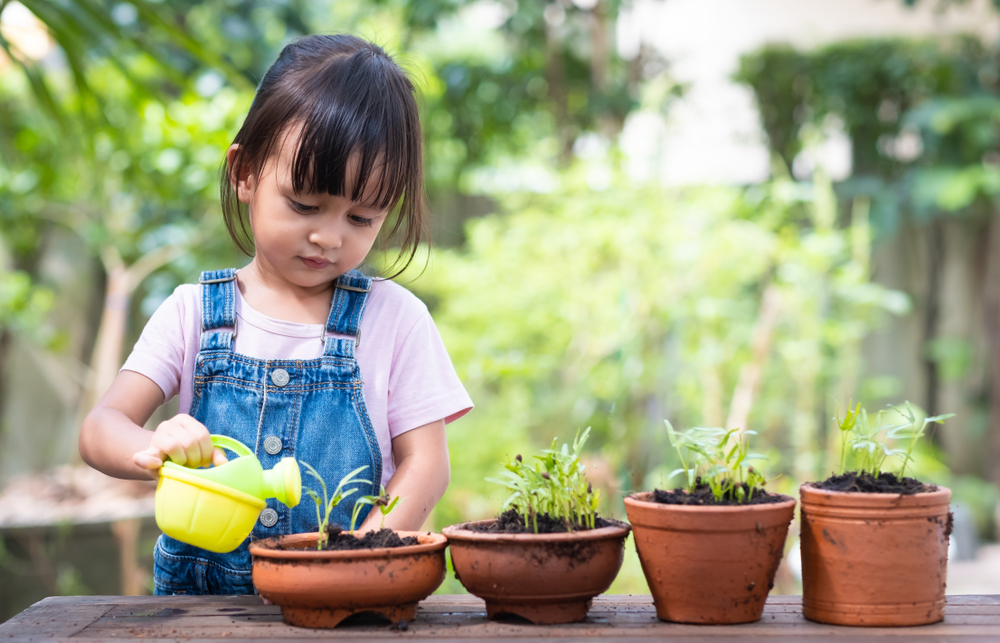 Watering the garden