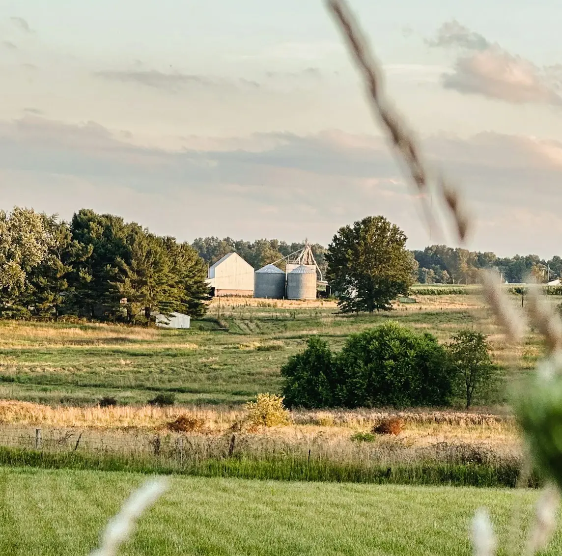 open field with barn and silos in background