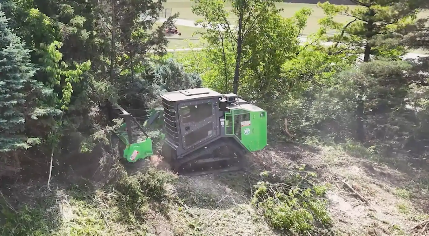 Forestry