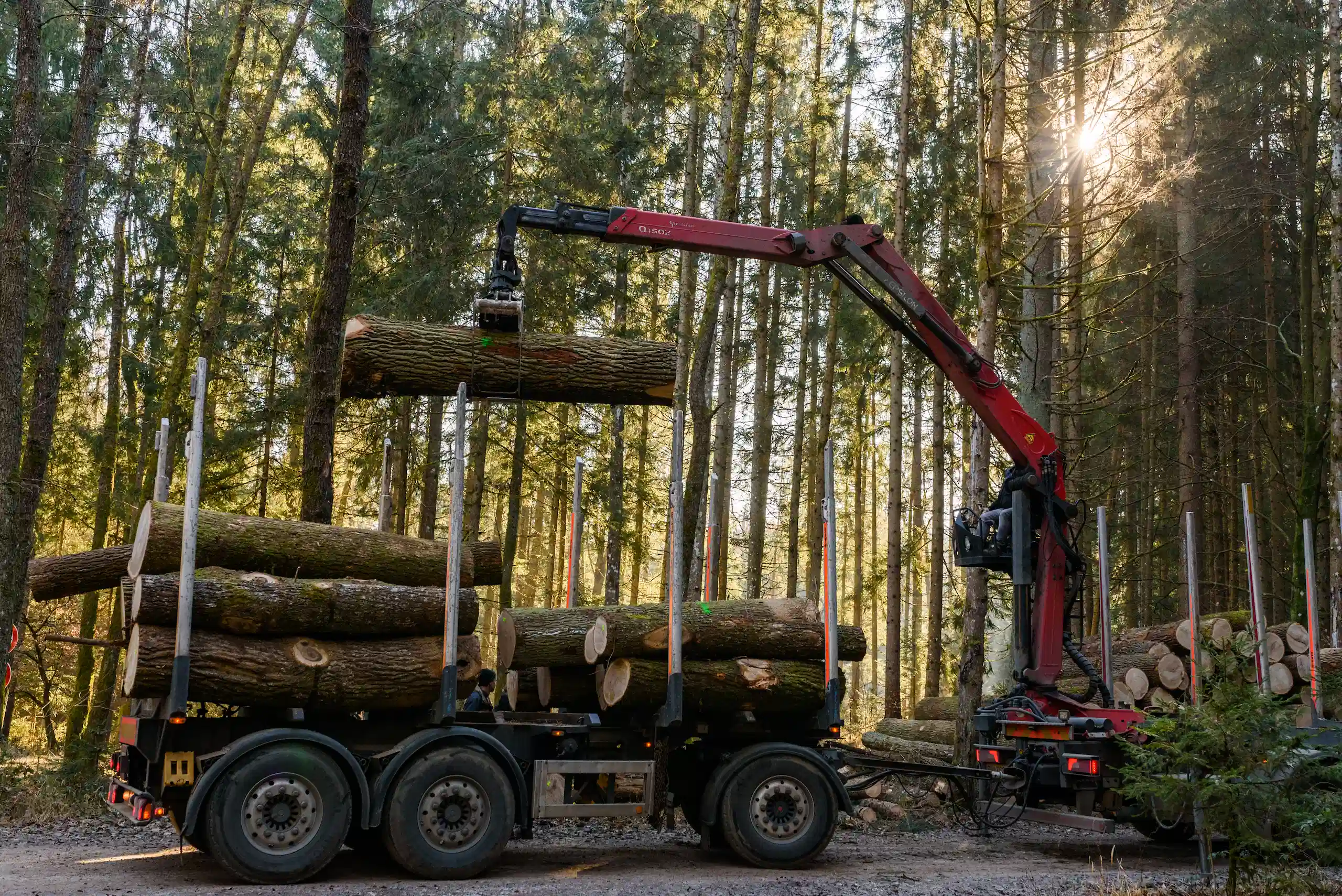 Green-Tec forestry equipment displayed at Timberstock in Newton, highlighting modern solutions for log handling and tree care operations.