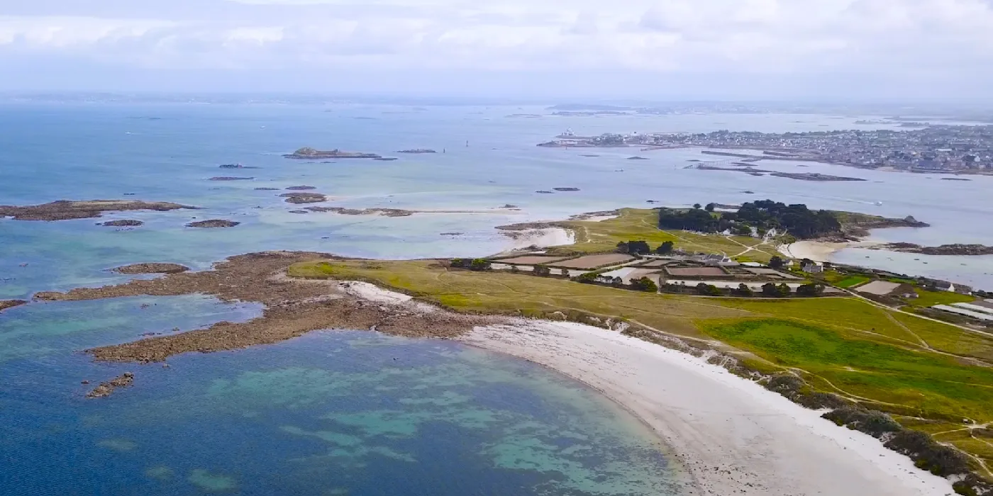 ITAB for the Organic World Congress 2020