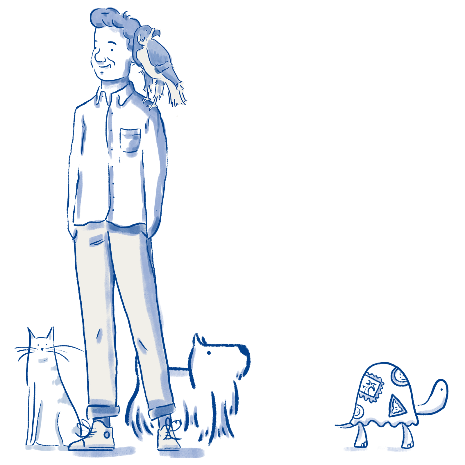 A branded illustration of Freddie Instone with a falcon on his shoulder and surrounded by a cat, dog and tortoise