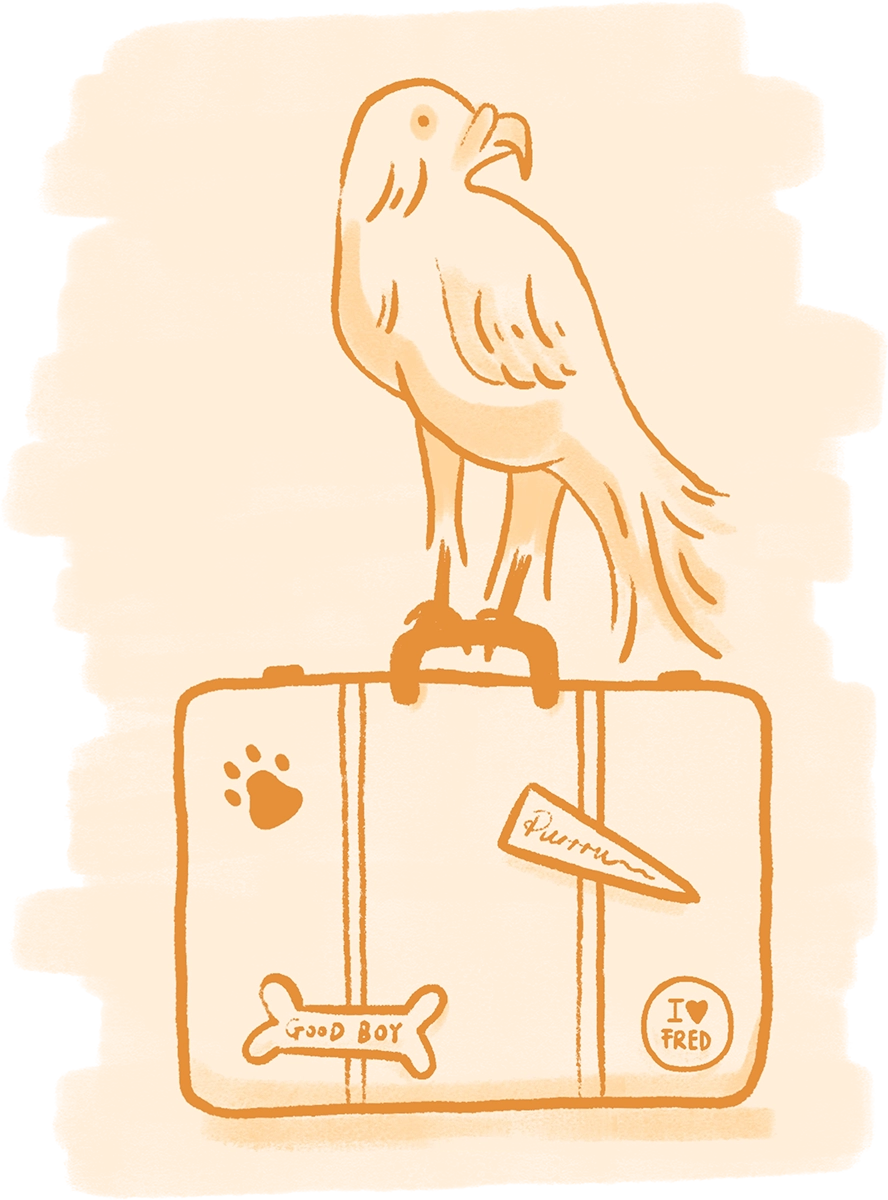 A branded illustration of a falcon standing on a travel case on a yellow brush-wash background