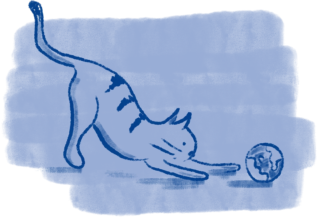 A branded illustration of a cat on a blue brush-wash background
