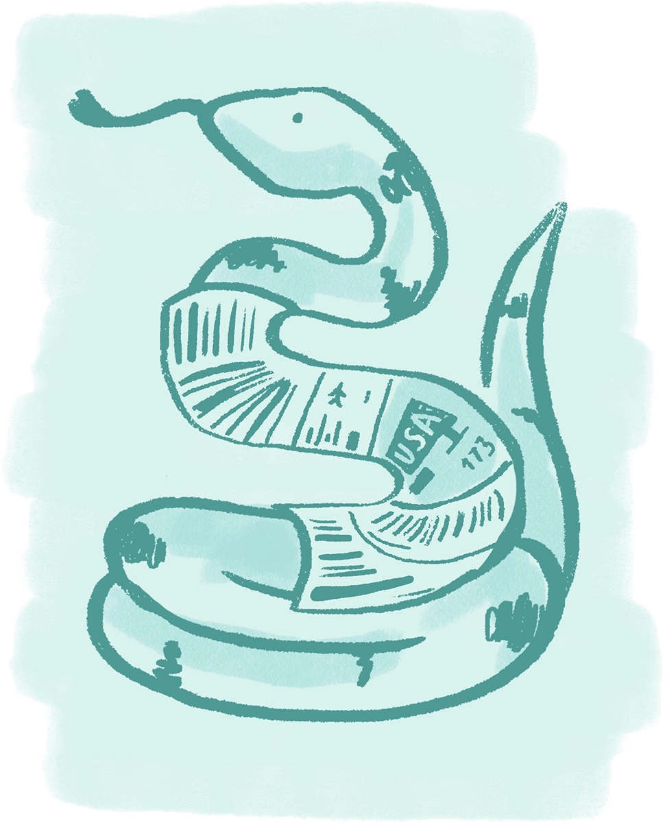 A branded illustration of a snake on a green wash background