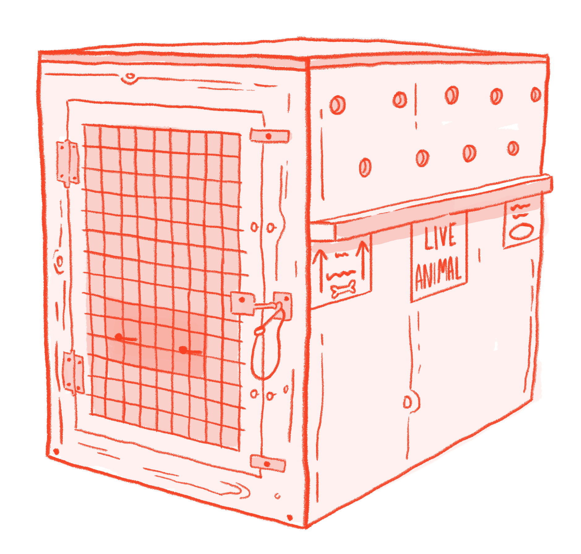 An illustration of a custom built air kennel or crate with a 'live animal' label on the side
