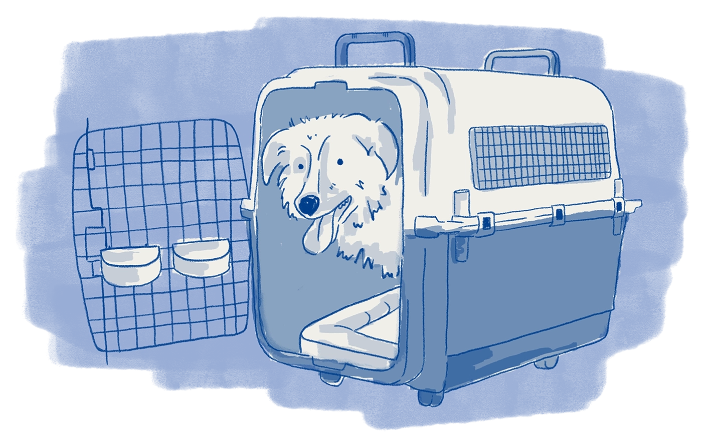 A branded illustration of a happy dog sitting in a crate on a blue wash background