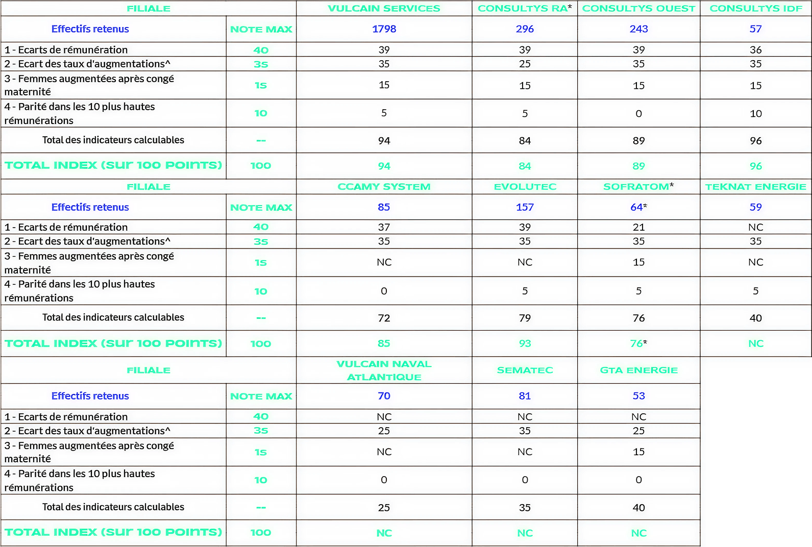FILIALE

VULCAIN SERVICES
CONSULTYS RA
CONSULTYS OUEST CONSULTYS IDF

Effectifs retenus
NOTE MAX
1379
244
235
50
1 - Ecarts de rémunération
40
39
38
38
36
2 - Ecart des taux d'augmentations *
35
35
35
35
35
3 - Femmes augmentées après congé maternité
15
15
15
15
15
4 - Parité dans les 10 plus hautes rémunérations
10
5
10
5
10
Total des indicateurs calculables
--
94
98
93
96
TOTAL INDEX (Sur 100 POINTS)
100
94
98
93
96
FILIALE

CCAMY SYSTEM
SOFREN
SOFRATOM
EVOLUTEC
Effectifs retenus
NOTE MAX
92
518
58
144
1 - Ecarts de rémunération
40
40
36
8
38
2 - Ecart des taux d'augmentations *
35
35
35
35
35
3 - Femmes augmentées après congé maternité
15
NC
15
15
NC
4 - Parité dans les 10 plus hautes rémunérations
10



5
Total des indicate urs calculables

75
86
58
78
TOTAL INDEX (sur 100 POINTS)
100
88
86
58
92
FILIALE

SEMATEC
VULCAIN NAVAL ATLANTIQUE
TEKNAT ENERGIE

Effectifs retenus
NOTE MAX
71
64
66

1 - Ecarts de rémunération
40
NC
NC
NC

2 - Ecart des taux d'augmentations *
35
35
35
35

3 - Femmes augmentées après congé maternité
15
NC
NC
NC
4 - Parité dans les 10 plus hautes rémunérations
10




Total des indicateurs calculables

35
35
35

TOTAL INDEX (Sur 100 POINTS)
100
NC
NC