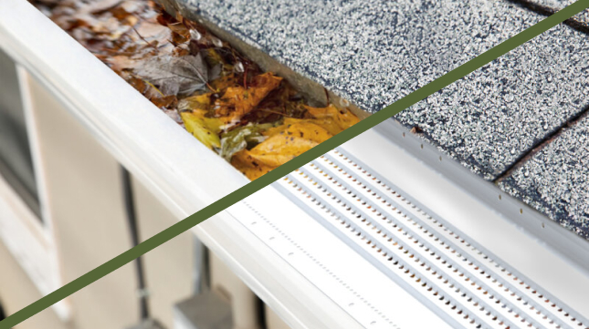 Gutter filled with debris