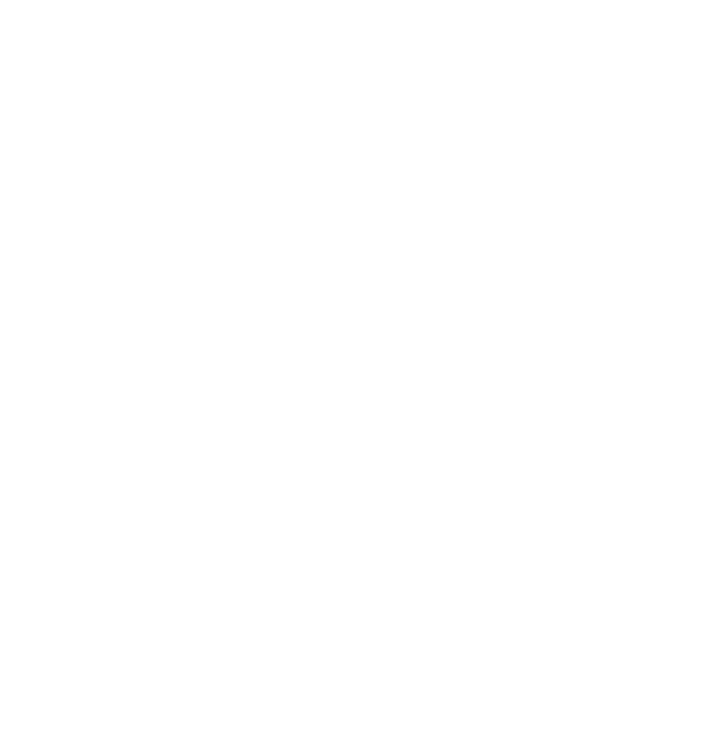Google Symbol mit 5 Sternen