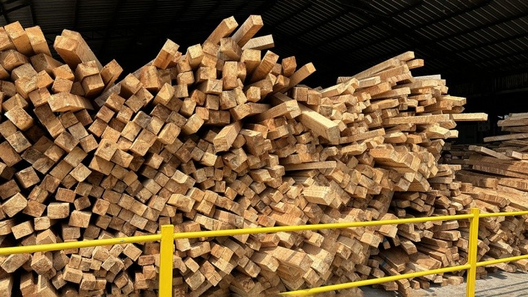 Sustainable sourcing, how balsa wood supports eco-friendly practices