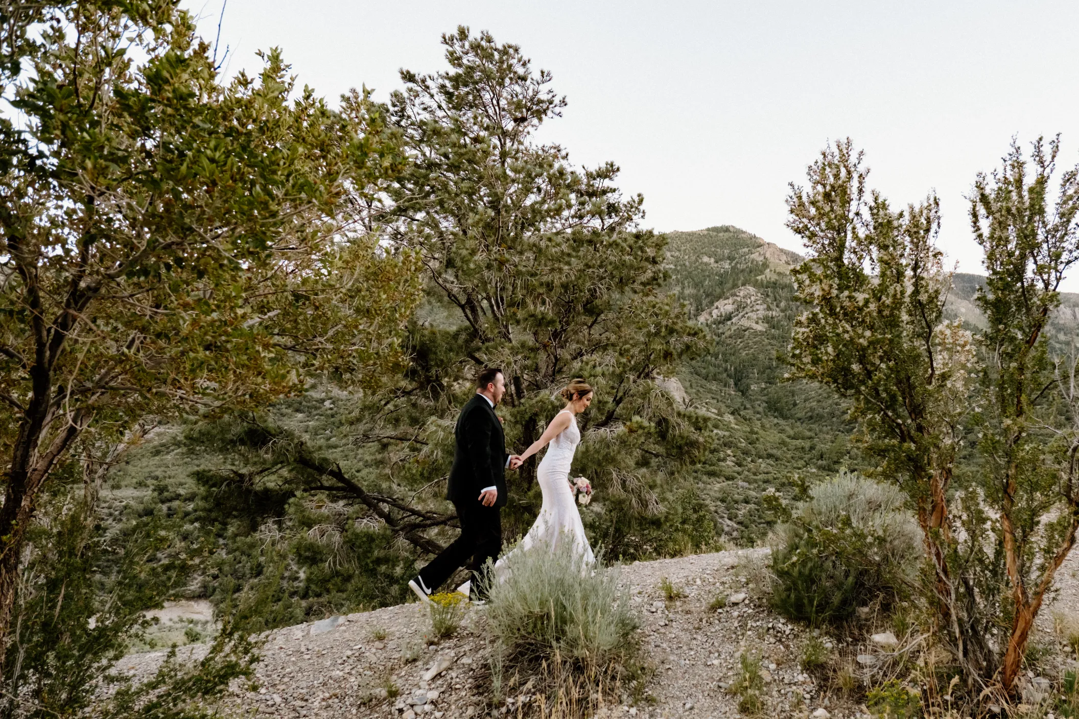 Rachel and Mike's intimate Mount Charleston elopement, walking hand-in-hand through pine trees with Las Vegas mountains in background