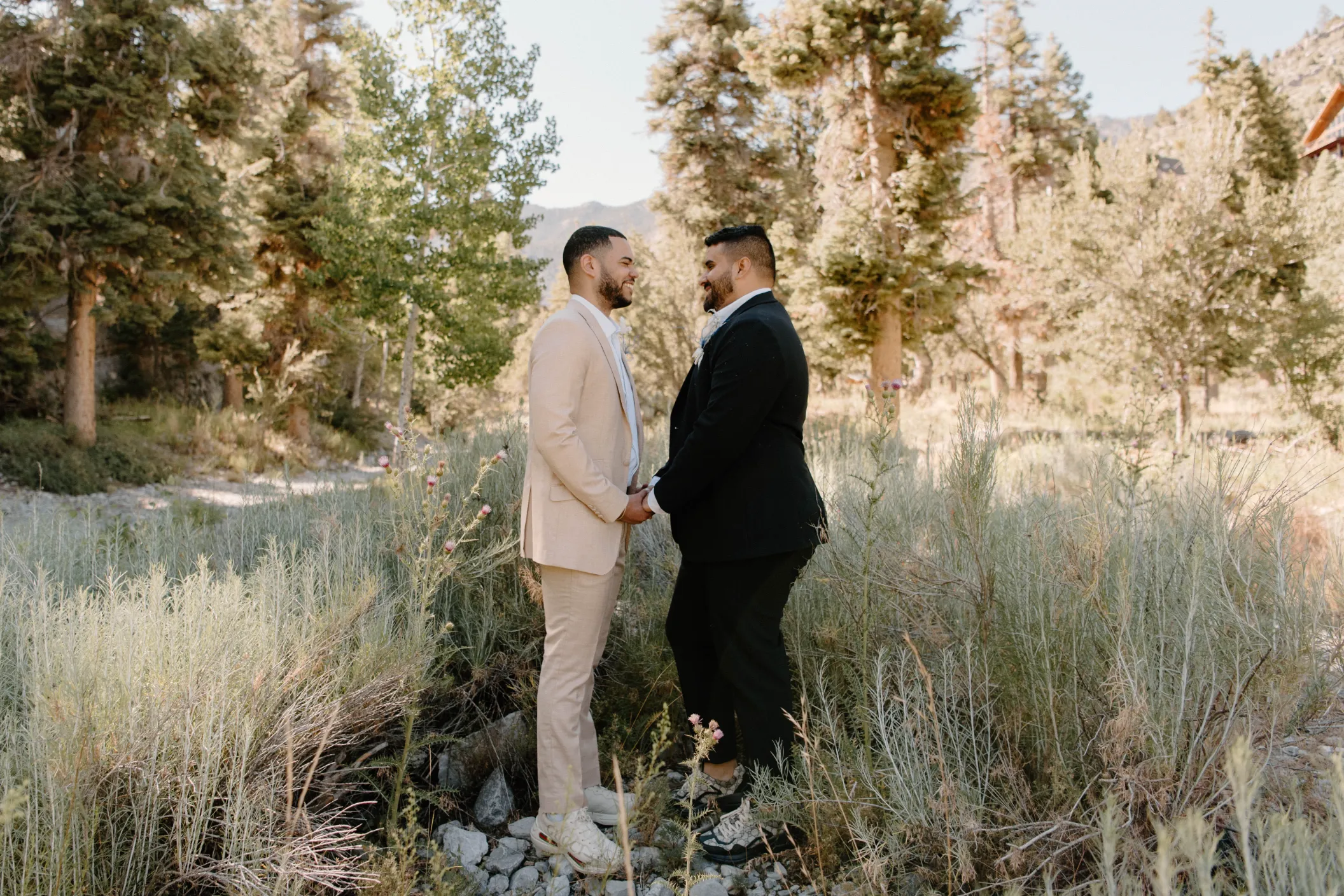 Adoni and George's LGBTQ+ friendly Mount Charleston elopement, couple holding hands in a quit forest setting with mountains in background near Las Vegas