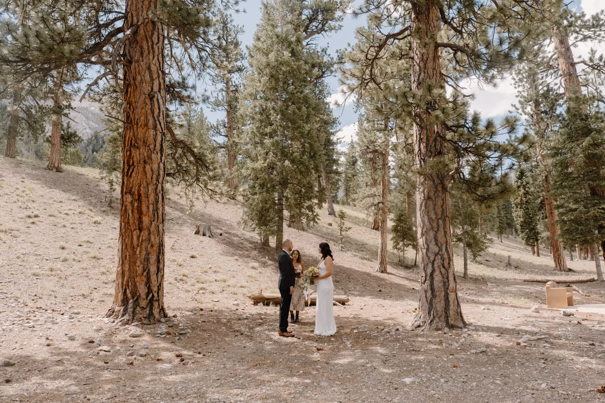 Lacey and Zach's picturesque Mount Charleston wedding, newlyweds strolling through pine forest with snow-capped peaks, perfect for nature-loving Las Vegas elopers