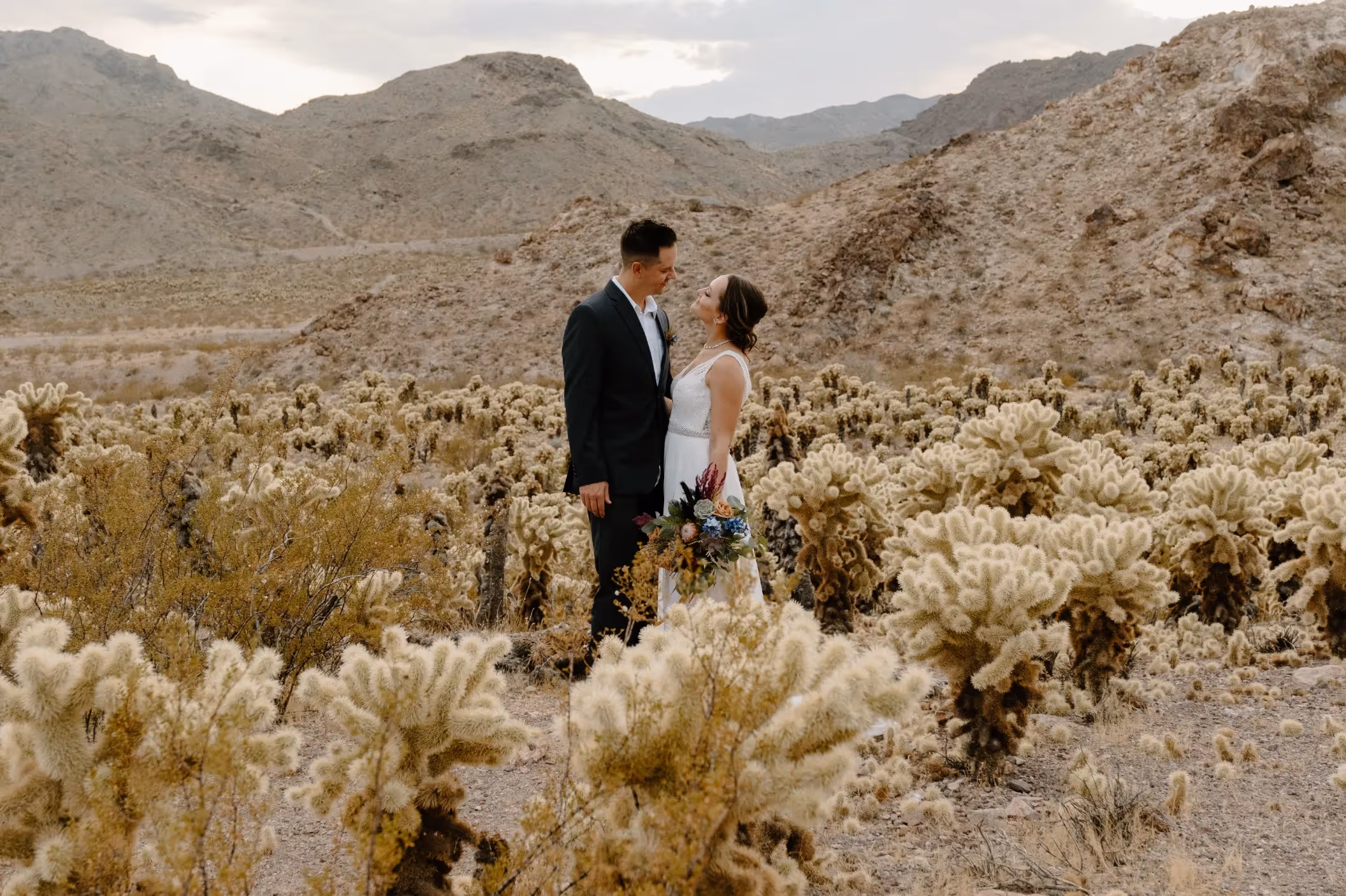 Ashley and Derek's enchanting Las Vegas desert wedding, couple surrounded by golden cholla cacti with scenic mountain landscape in background