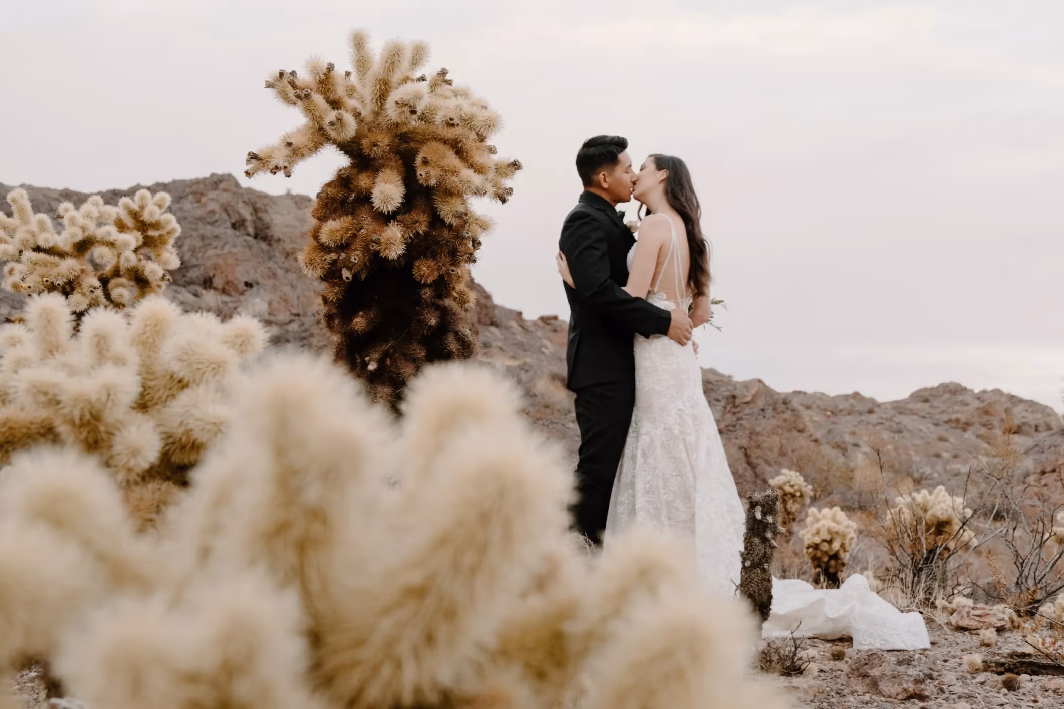 Intimate desert elopement moment for Grace and Billy near Las Vegas, couple kissing among cholla cacti with rugged mountains in background