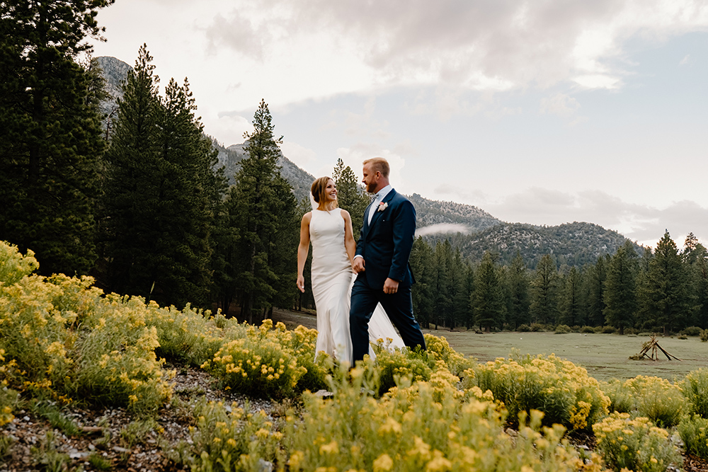 Johanna and Matt's unique Las Vegas elopement at Mount Charleston, couple entwined in meadow with wild horse, combining nature and romance