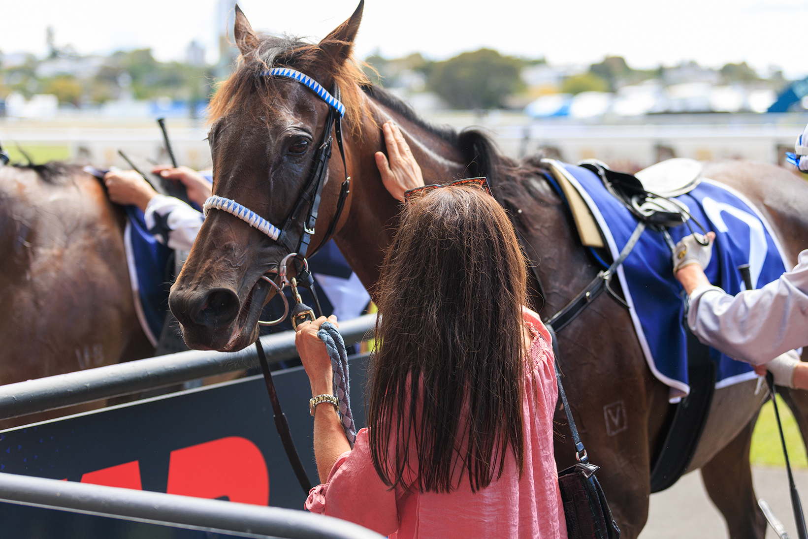 Own the thrill—join our syndication and experience the excitement of racehorse ownership with a like-minded community.