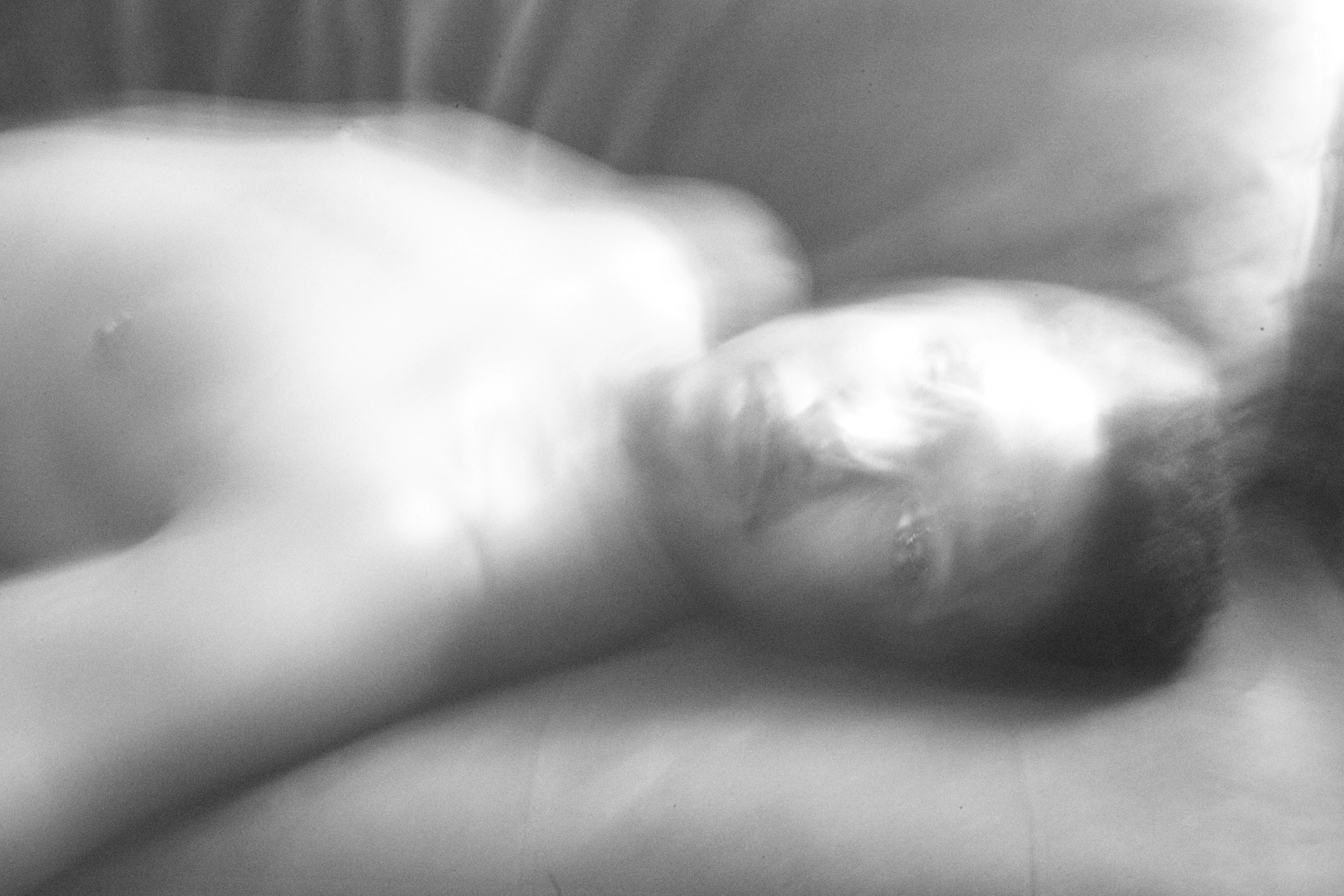 Lote 14 - JHAMELI - Tatan Gherrë