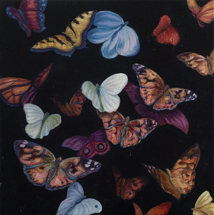 Lote 1 - Mariposas ll Baja - Manuel Ugarte