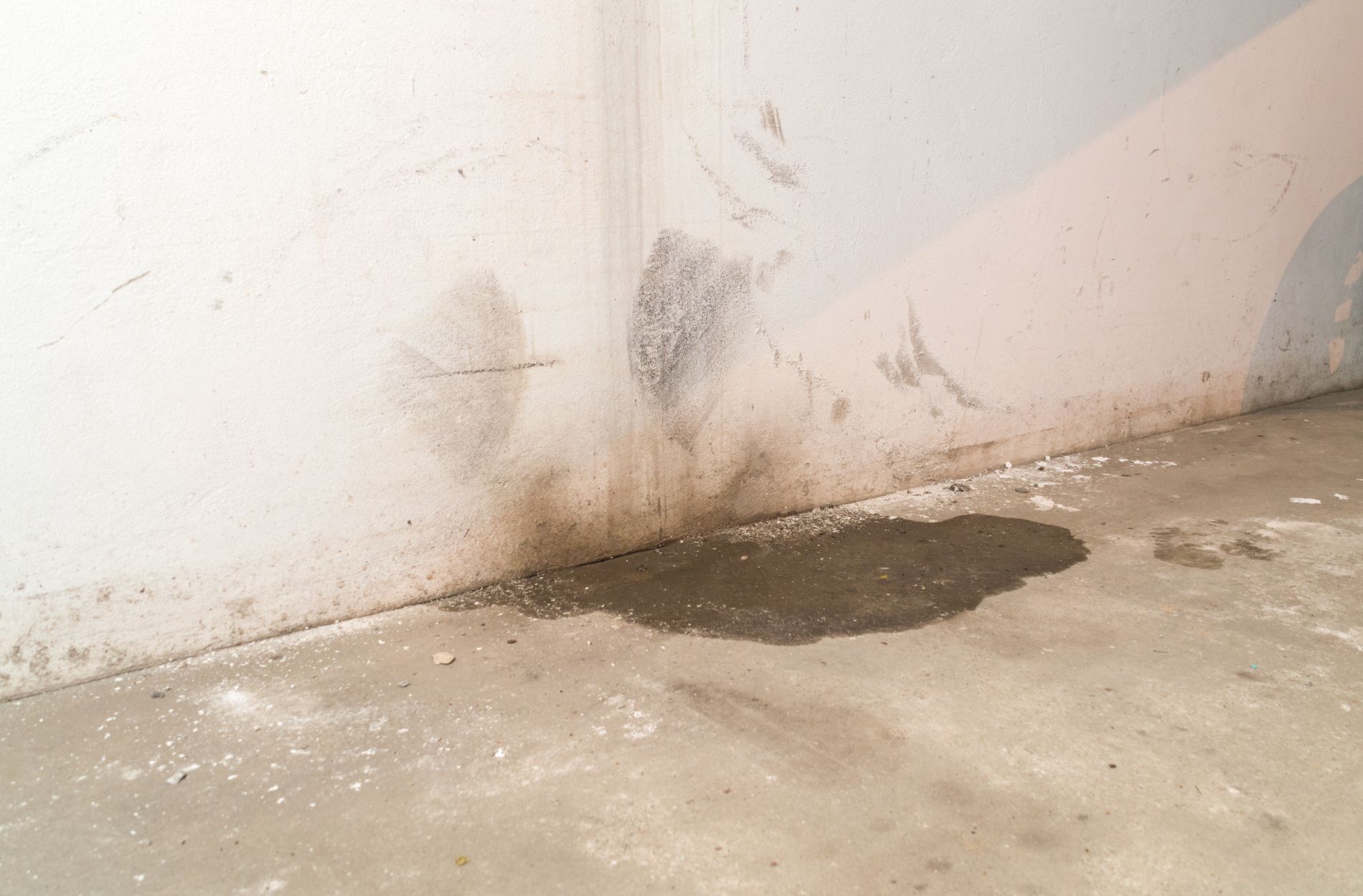 Signs of Underground Water Leaks in Sweetwater Properties