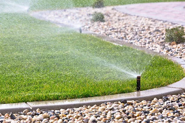 summer-water-conservation