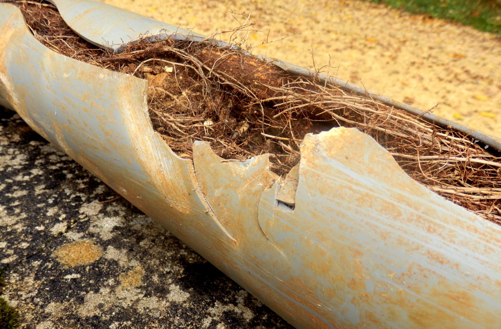Removing Tree Root Blockages from Tuscola Drains