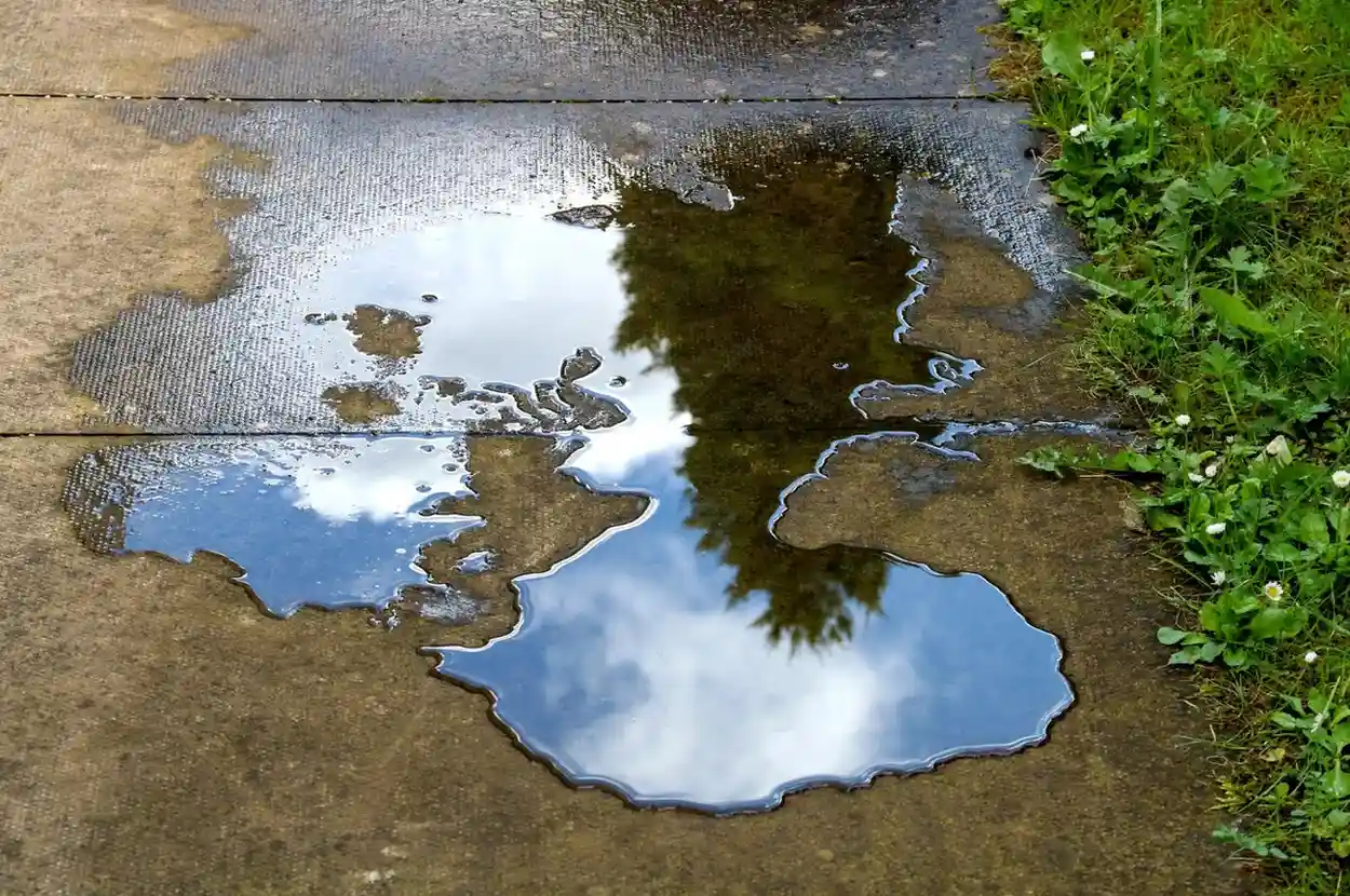 A puddle of water on a concrete sidewalk reflects a cloudy sky and trees. Green grass is visible on the right side.