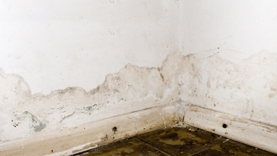 hidden-water-damage-behind-your-walls