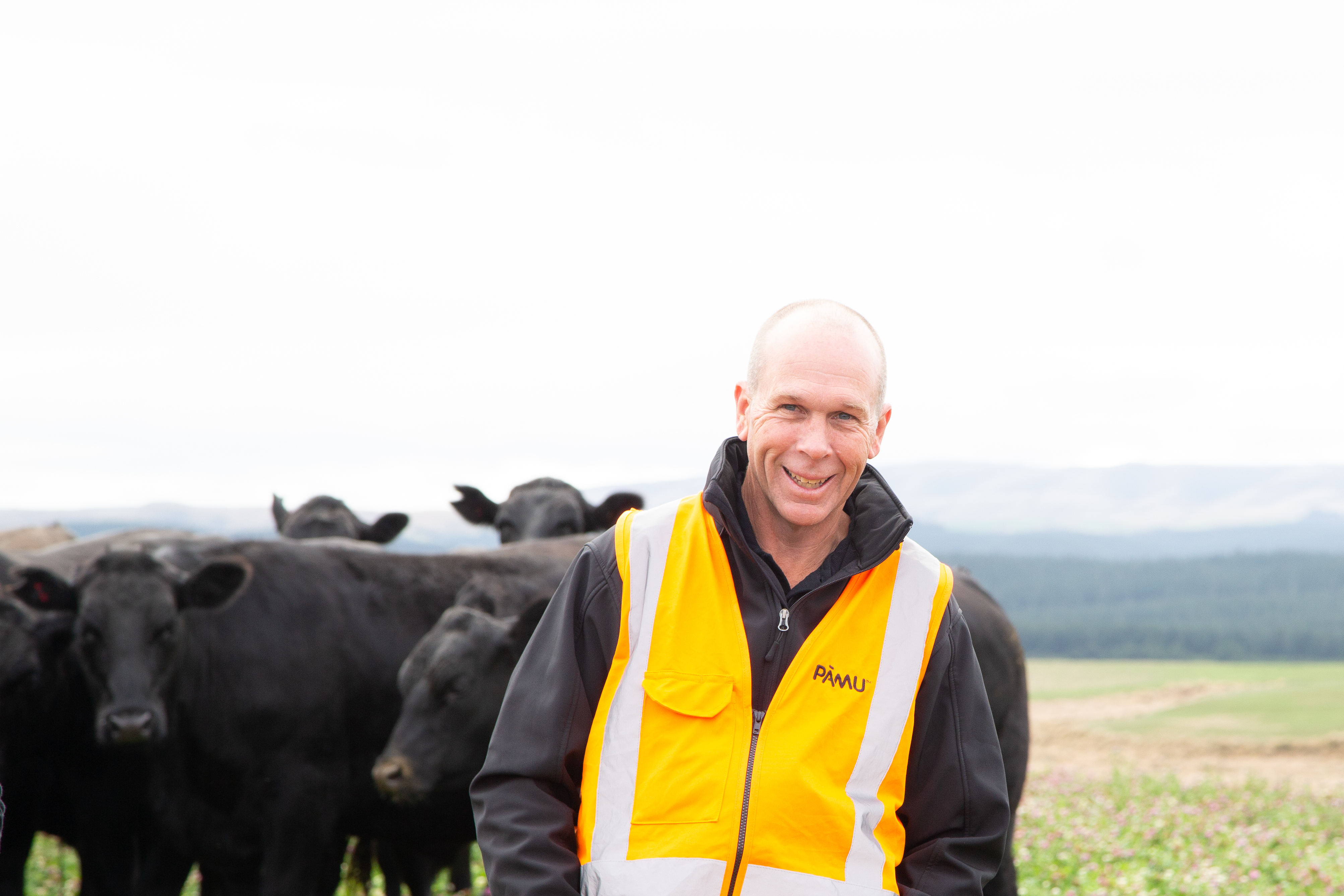 Coming full circle - trees, Grandad and the future of our farms