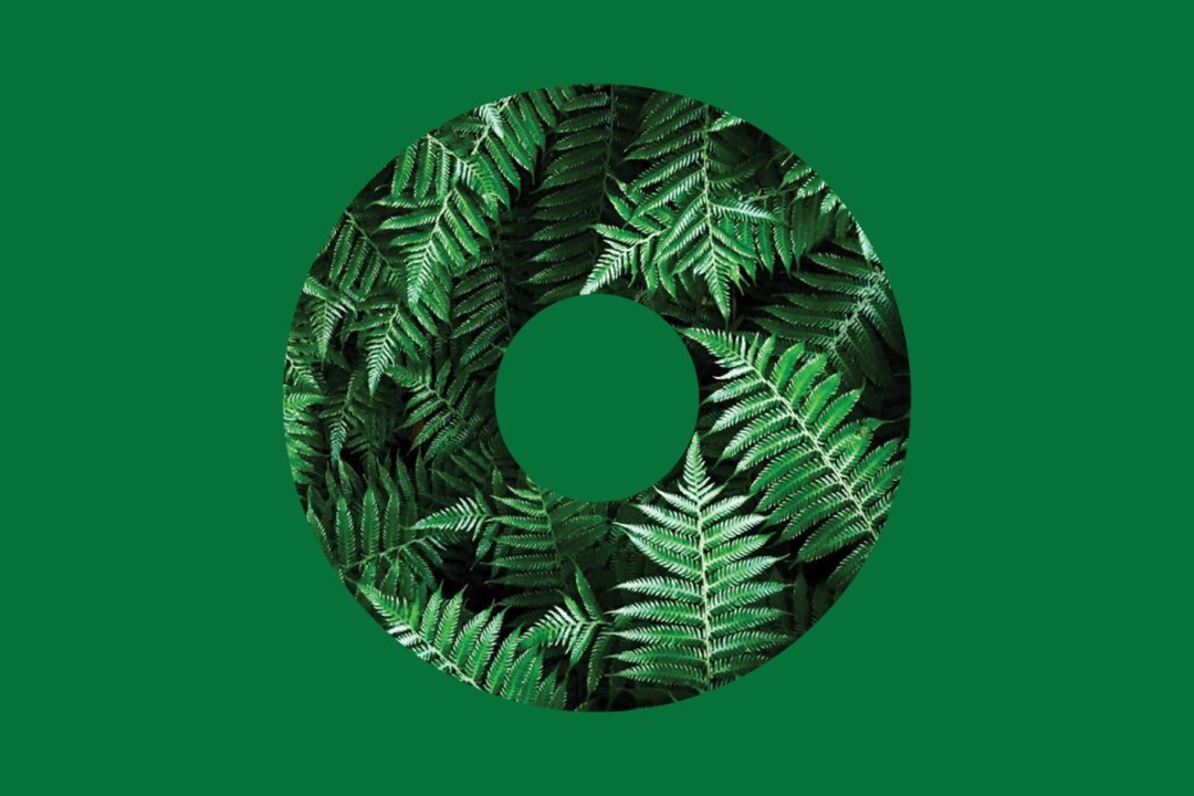 Sustainable finance in the food and fibre sector