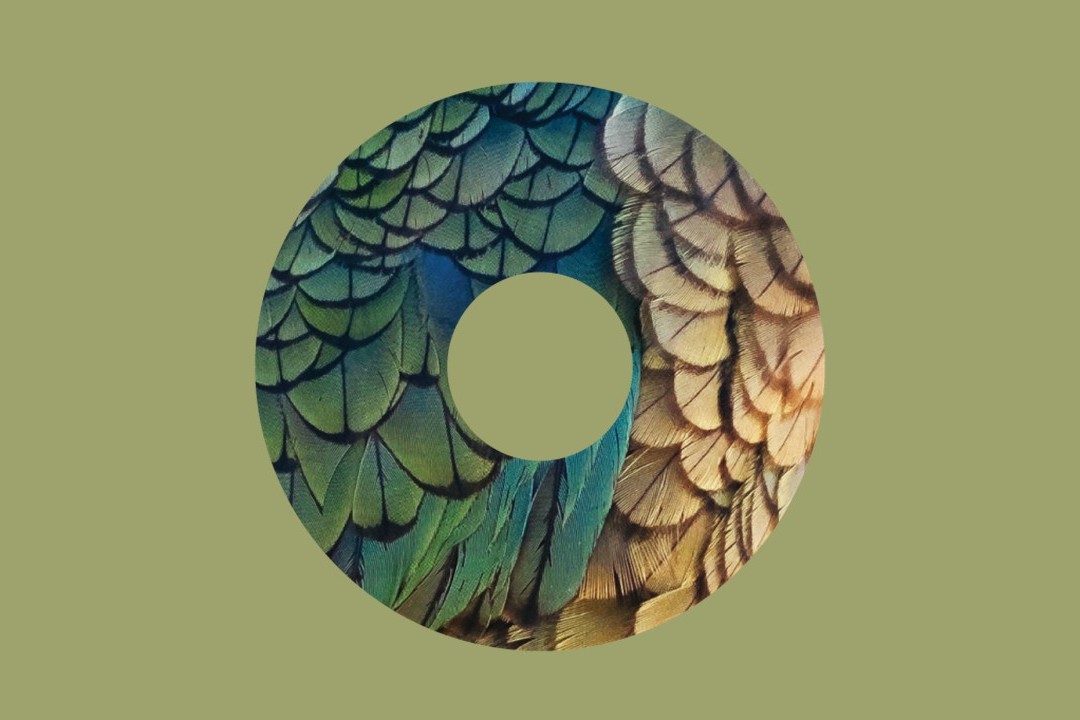What nature is telling us - Our Environment tō tātou taiao 2025
