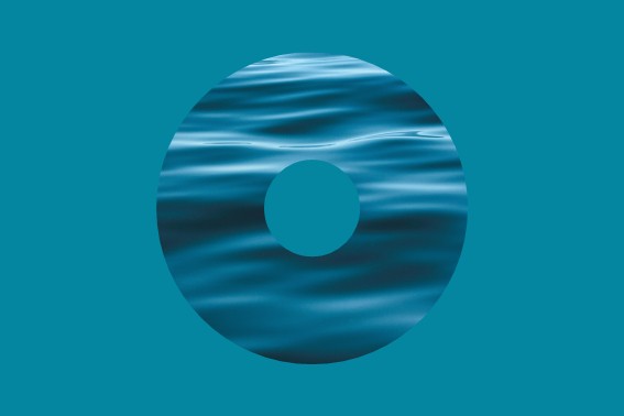 COP15 and TNFDs in the New Zealand context
