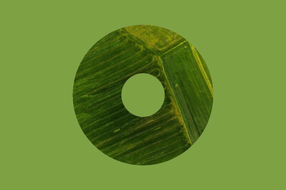 ERP and climate mitigation action