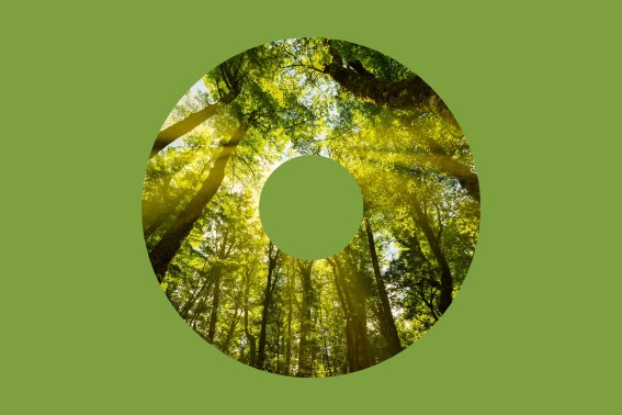 Natural Infrastructure Plan launched at Parliament