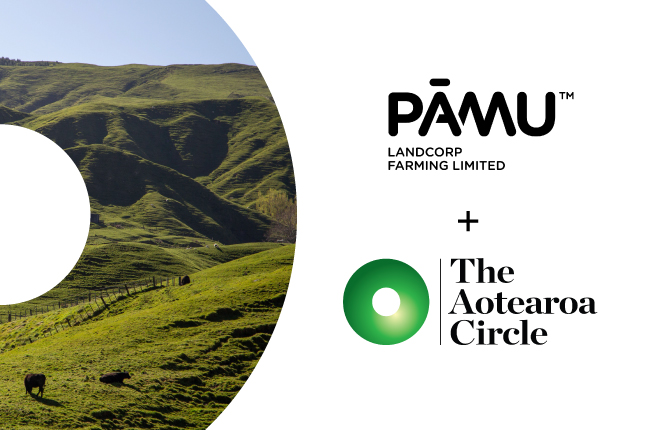 Impact spotlight: turning sector insights into business strategy 