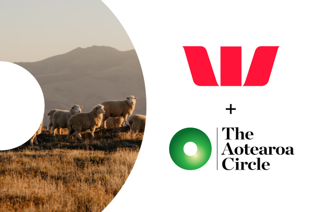 Turning sustainable finance into on-farm action