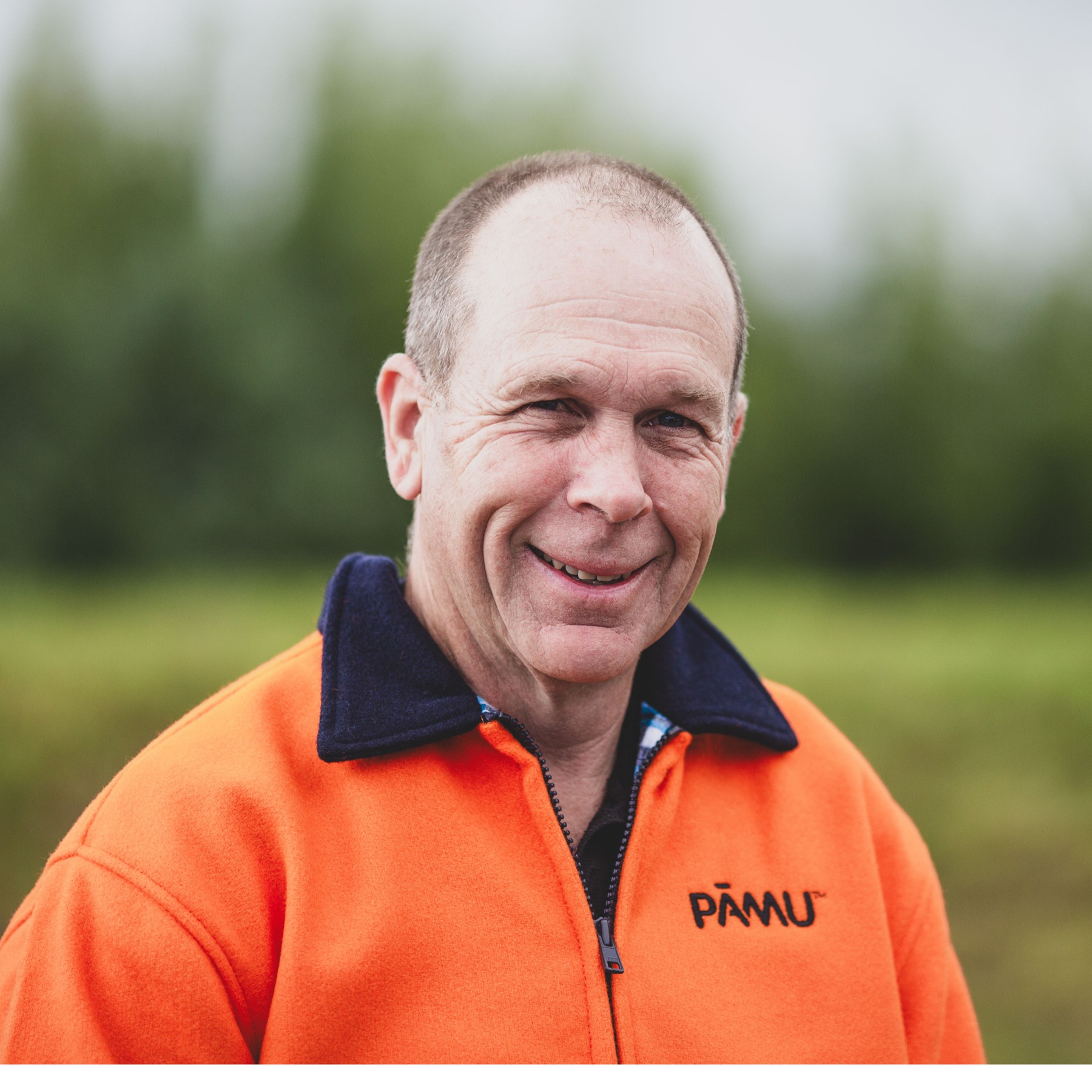 Existing forests, new value: Pāmu model for funding restoration