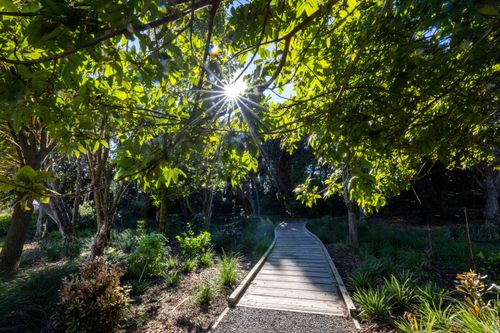The case for nature: Tangaroa Stream shows a smarter way to build resilience