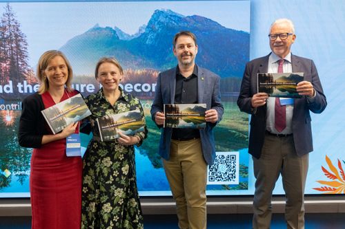 Case study: Five times the value: how one forestry company found what wasn't being shown on its traditional financial balance sheet