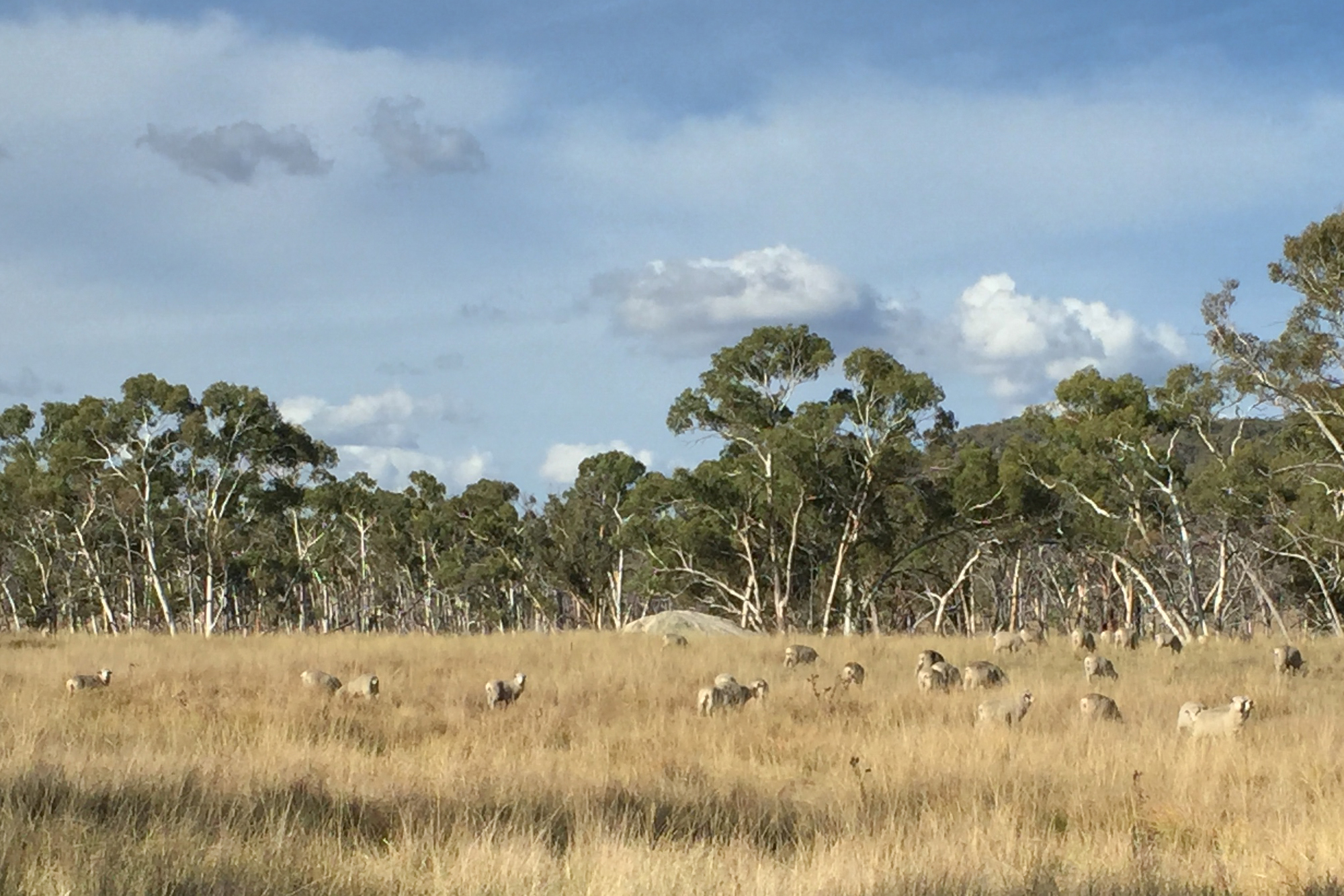 Healthier land points to steadier profits for farming 