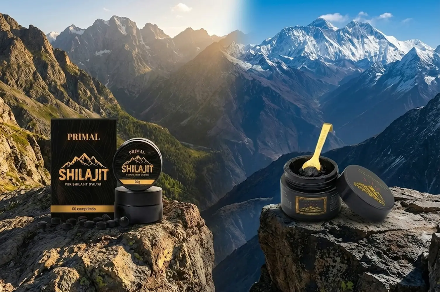 Primal Supplements Shilajit VS Shamballa Shilajit: Which supplement should you choose for your life routine?