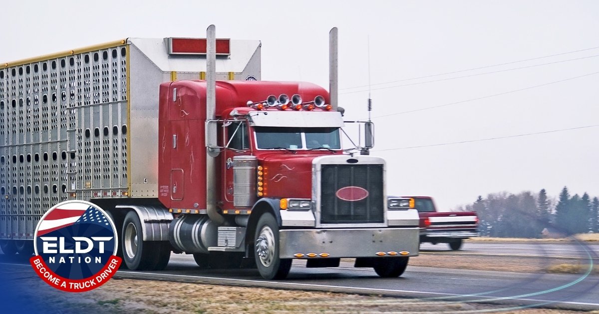 Class A ELDT in Florida - Important steps to finish CDL theory test
