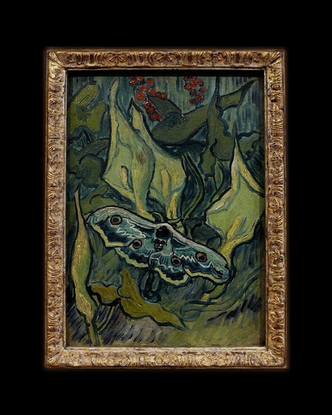 Nocturne 05 — Great Peacock Moth