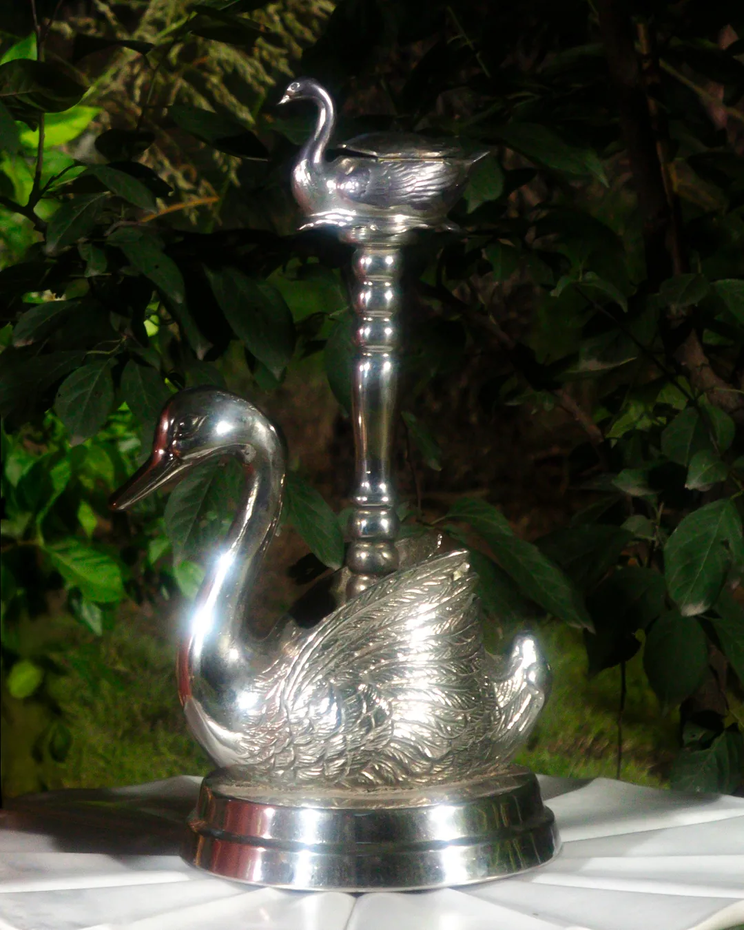 Nocturne 07 — Silver swan