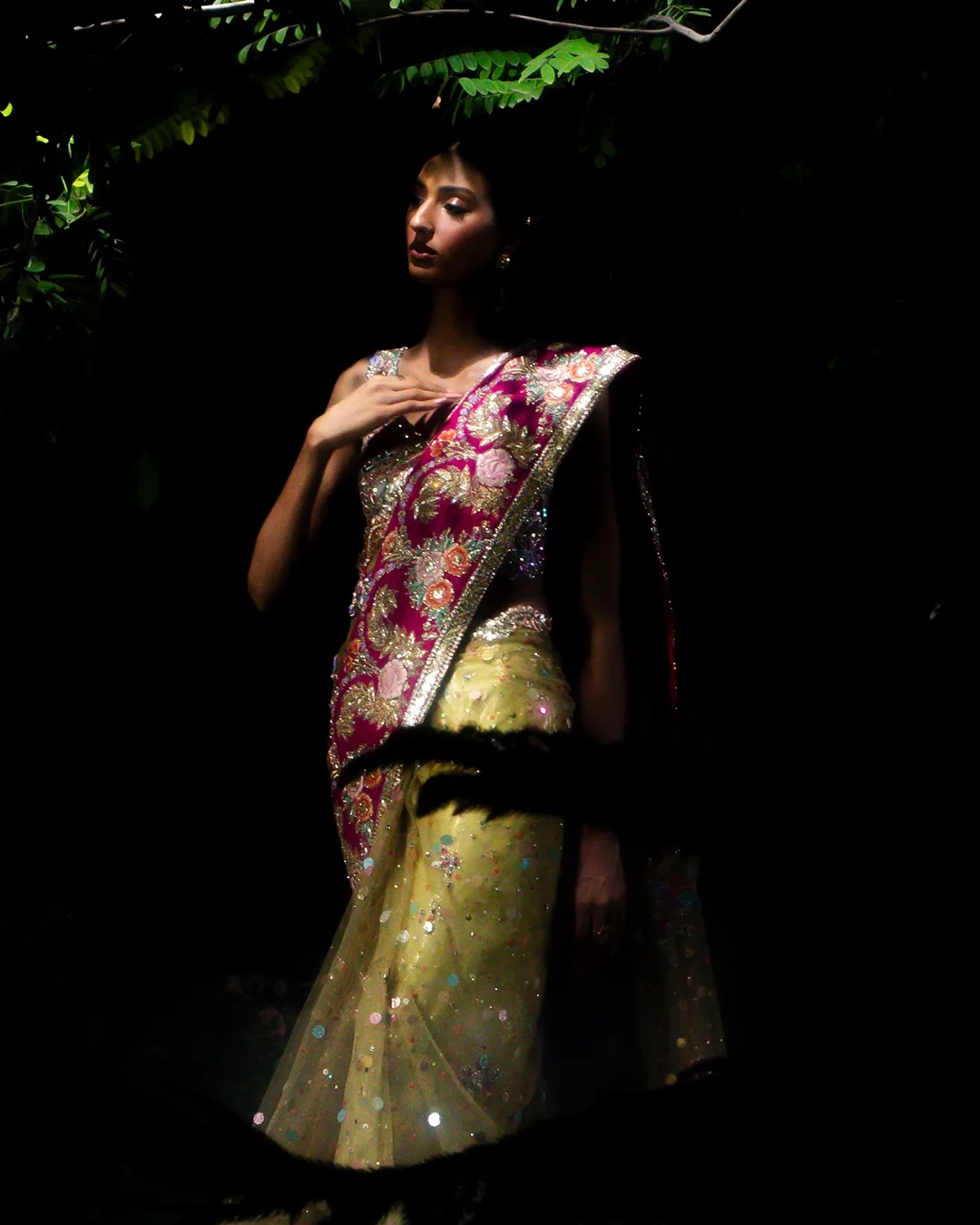 Nocturne 05 — Magenta sari in the dark